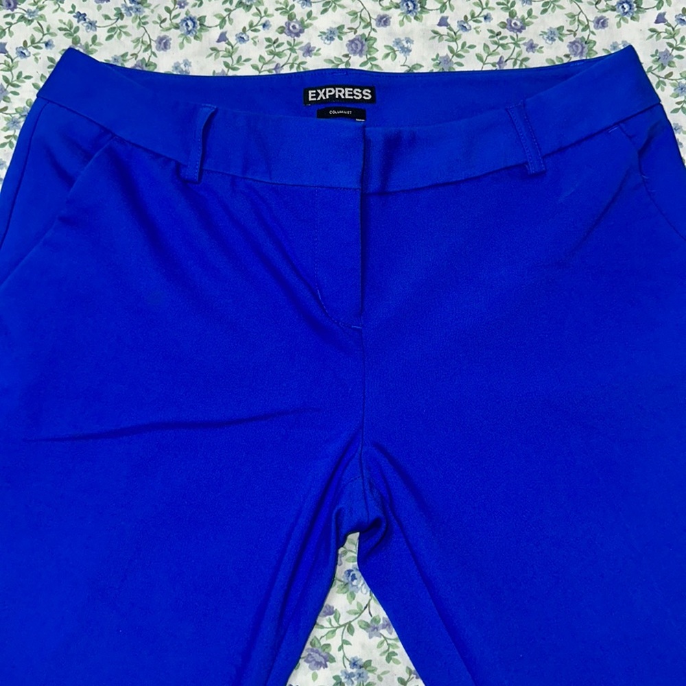 Express Royal Blue Pants